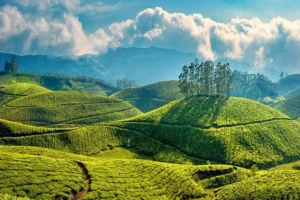 5 Days Best Kerala Tour Package