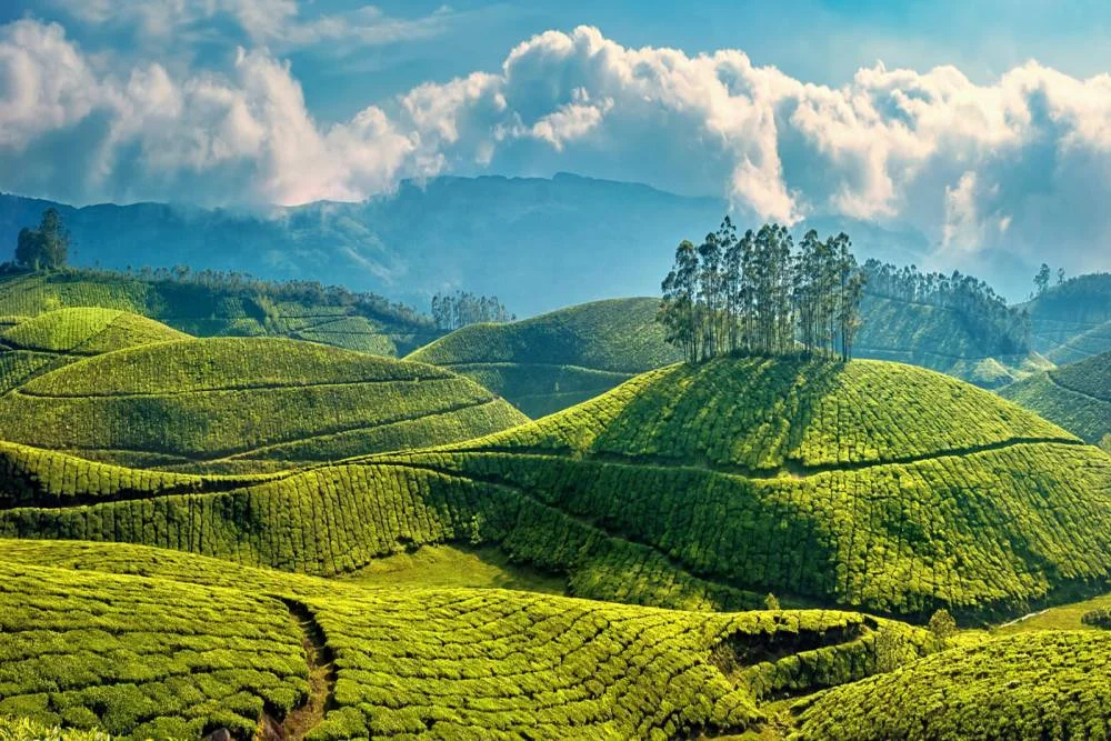 5 Days Best Kerala Tour Package