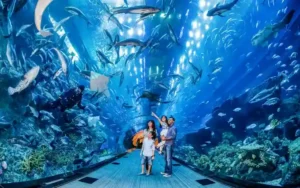 5 Days Dubai Tour Package For Family