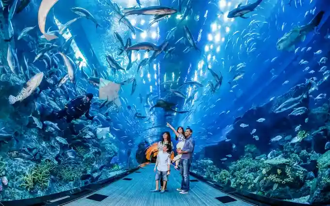 5 Days Dubai Tour Package For Family
