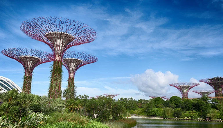 6 Days Singapore Tour From India