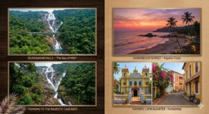 Amazing Goa Tour