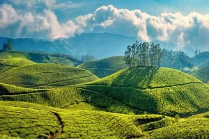 Best Kerala Tour