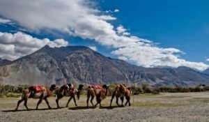 Ladakh Holiday Package
