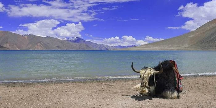 Ladakh 4 Nights 5 Days Tour Package