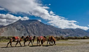 Ladakh Holiday Package