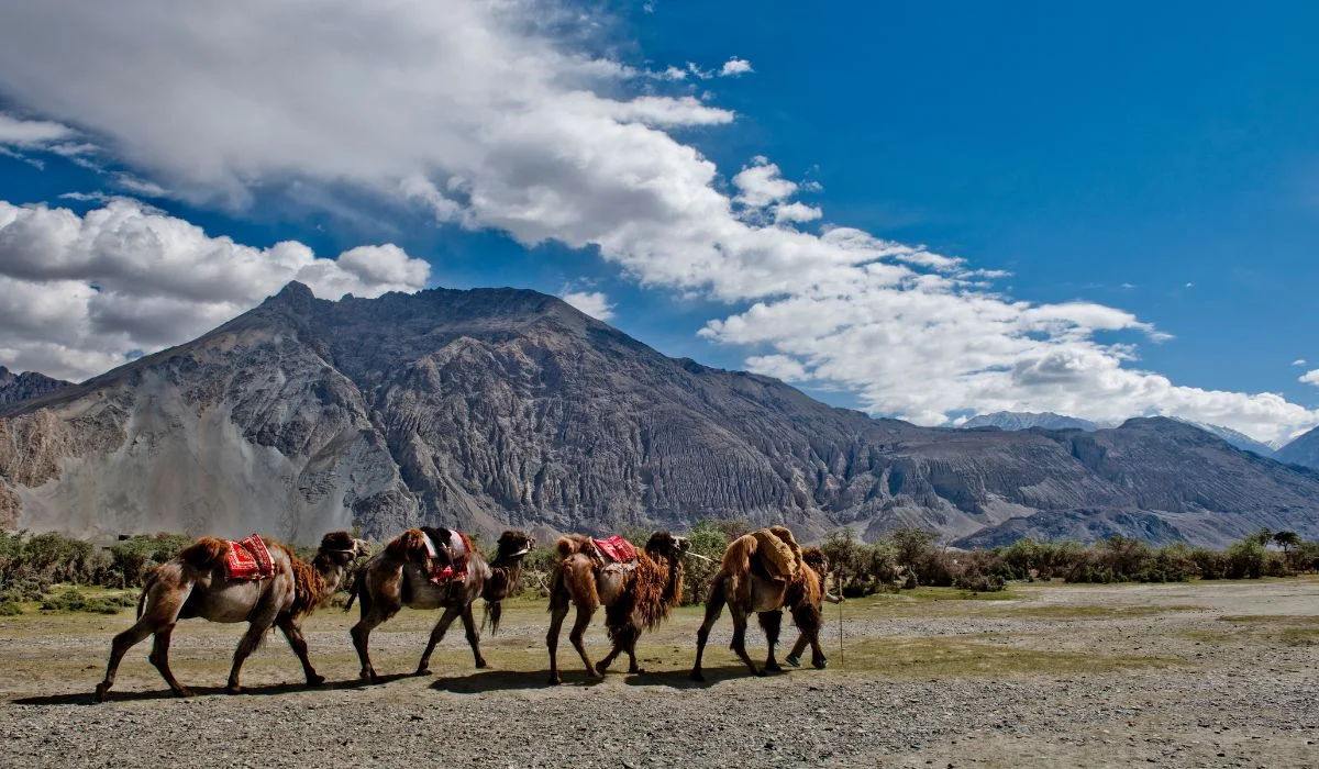 Ladakh Holiday Package